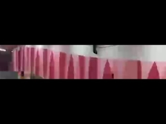 Sistema 4800bps/100m do estacionamento do veículo LPR para a segurança da estrada